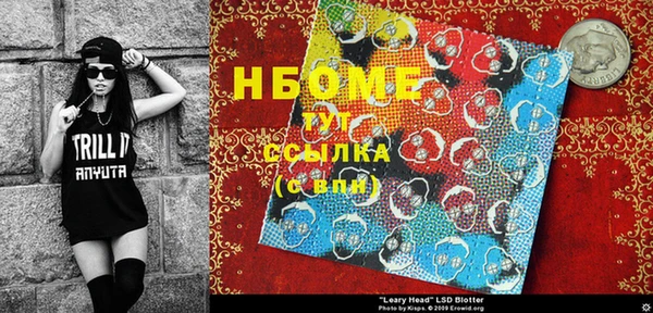 гашик Алексин