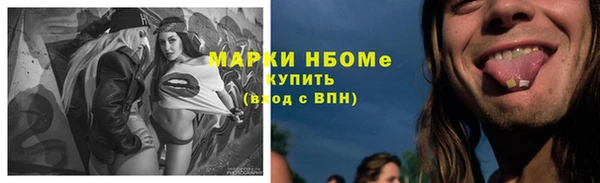 гашик Алексин