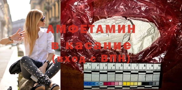 гашик Алексин