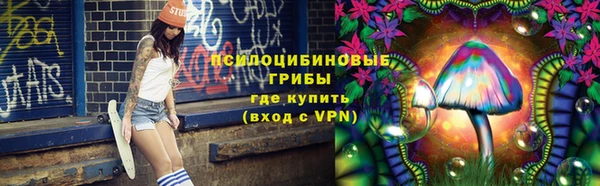 крисы Алзамай