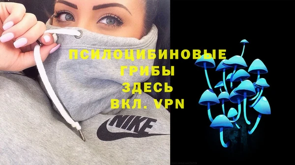 крисы Алзамай