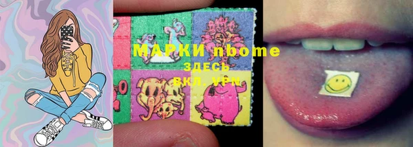 гашик Алексин